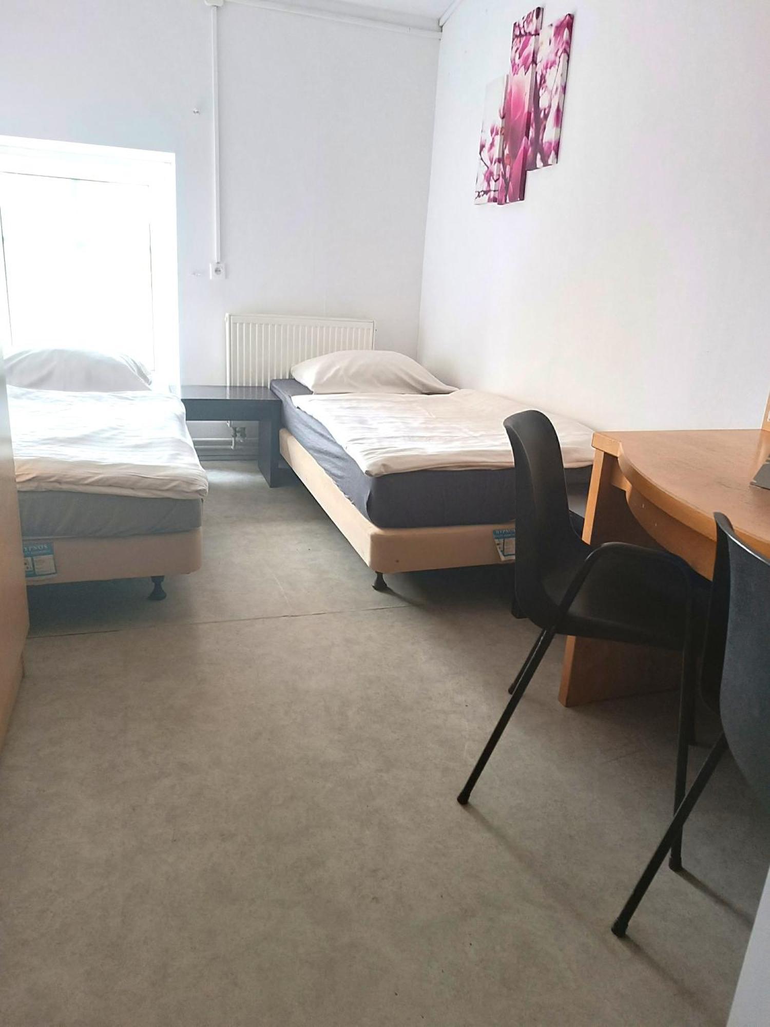 Hostel Krosnienska 12 Zielona Góra Eksteriør billede